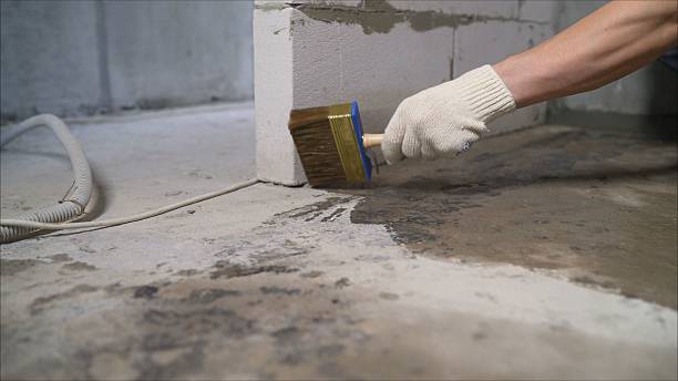 Top rated local Crawl Space Encapsulation specialists in Franklin, NC